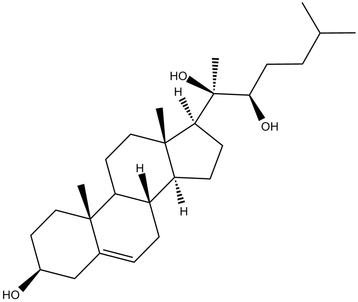 Oxy-16ͼƬ