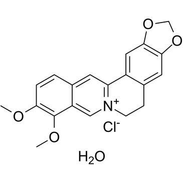 Berberine chloride hydrateͼƬ