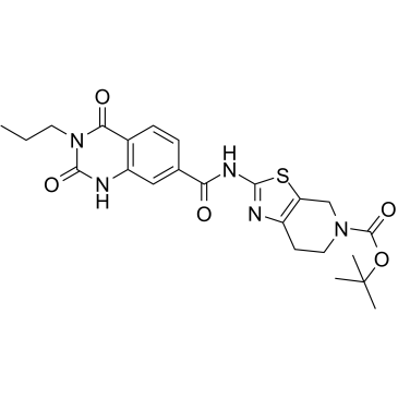 Autogramin-1ͼƬ