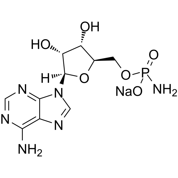 Adenosine 5′-monophosphoramidate sodiumͼƬ
