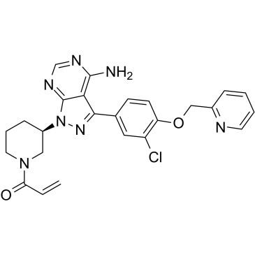 CHMFL-EGFR-202图片