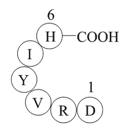 Angiotensin 1/2(1-6)ͼƬ