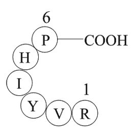 Angiotensin 1/2(2-7)ͼƬ