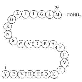 Amyloidβ-peptide(10-35),amide图片