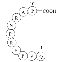 Dynamin inhibitory peptideͼƬ