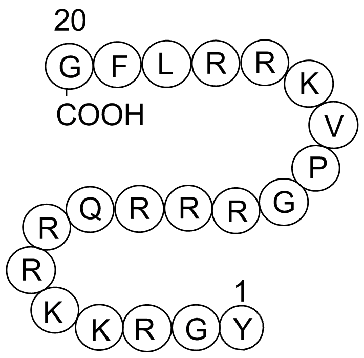 Cdk2/Cyclin Inhibitory Peptide I图片