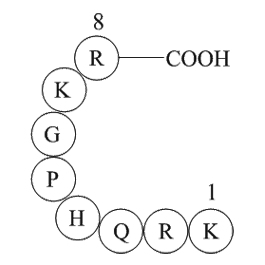 TRH Precursor PeptideͼƬ