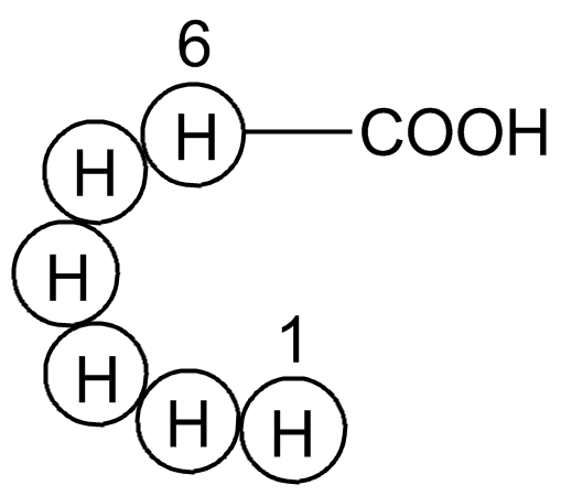 Hexa His tag peptideͼƬ