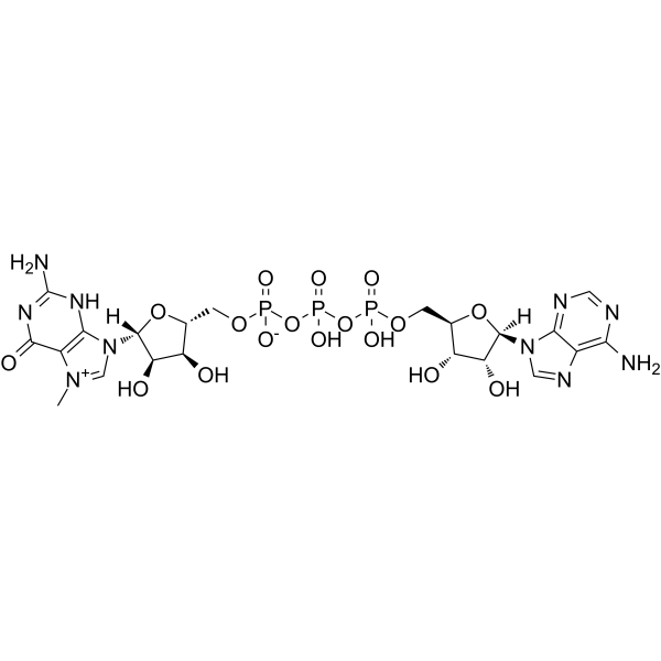 N7-Methyl-guanosine-5&rsquo-triphosphate-5&rsquo-adenosineͼƬ