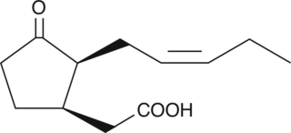 (±)7-epi Jasmonic AcidͼƬ