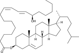 13(R)-HODE cholesteryl esterͼƬ