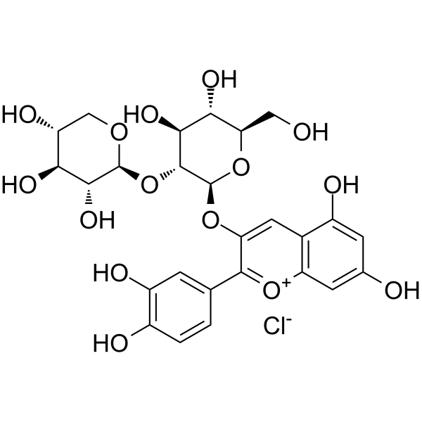 Cyanidin 3-sambubioside chloride图片