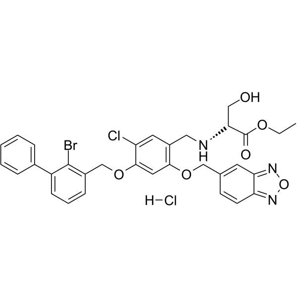 PD-1/PD-L1-IN-23ͼƬ