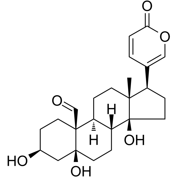 HellebrigeninͼƬ