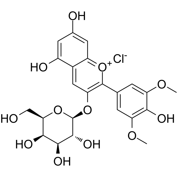 Malvidin-3-galactoside chlorideͼƬ