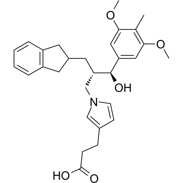 ONO-0300302ͼƬ