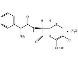 Cefaclor monohydrateͼƬ