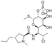 Clindamycin Phosphate图片