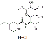 Pirlimycin HClͼƬ