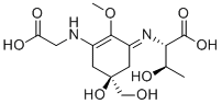 Porphyra 334ͼƬ