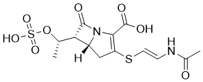 Epithienamycin EͼƬ