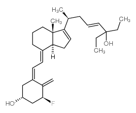 ElocalcitolͼƬ