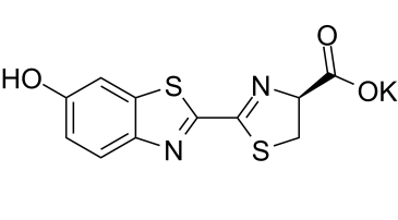 D-Luciferin potassiumͼƬ