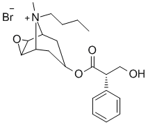 Butylscopolamine bromideͼƬ