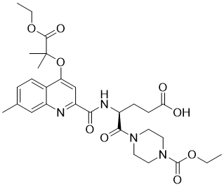 BX 667图片