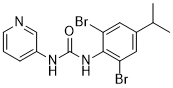 BX430ͼƬ