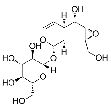 CatalpolͼƬ