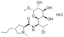 Clindamycin HClͼƬ