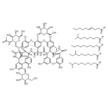 Teicoplanin complexͼƬ