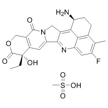 Exatecan mesylate(DX8951)ͼƬ