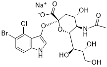 X-NeuNAcͼƬ