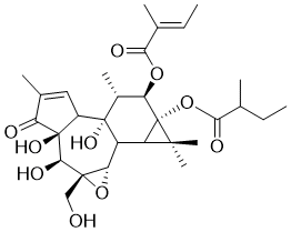 Tigilanol tiglate图片