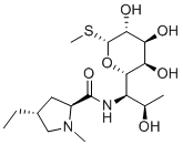 Lincomycin-BͼƬ