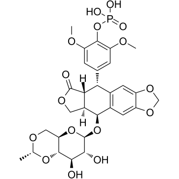 Etoposide Phosphate(BMY-40481)ͼƬ