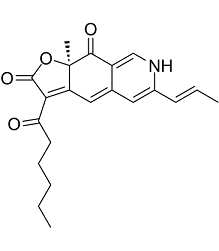 RubropunctatinͼƬ