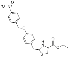 SN-6ͼƬ