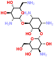 Kanamycin BͼƬ