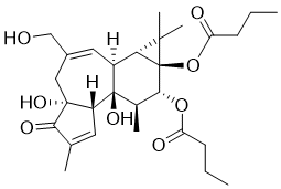 Phorbol 12,13-dibutyrateͼƬ