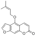 IsoimperatorinͼƬ