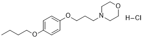 Pramoxine HClͼƬ