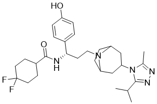 UK-437719ͼƬ