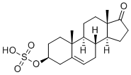 Prasterone sulfateͼƬ