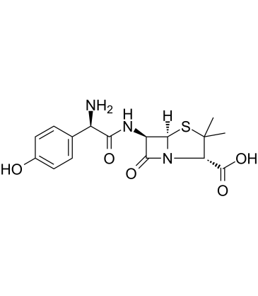 Amoxicillin(Amoxycillin and amox)ͼƬ