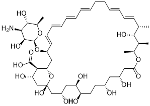 Amphotericin AͼƬ