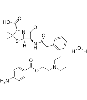 Penicillin G procaine(PGP)ͼƬ