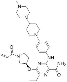 Naquotinib free baseͼƬ